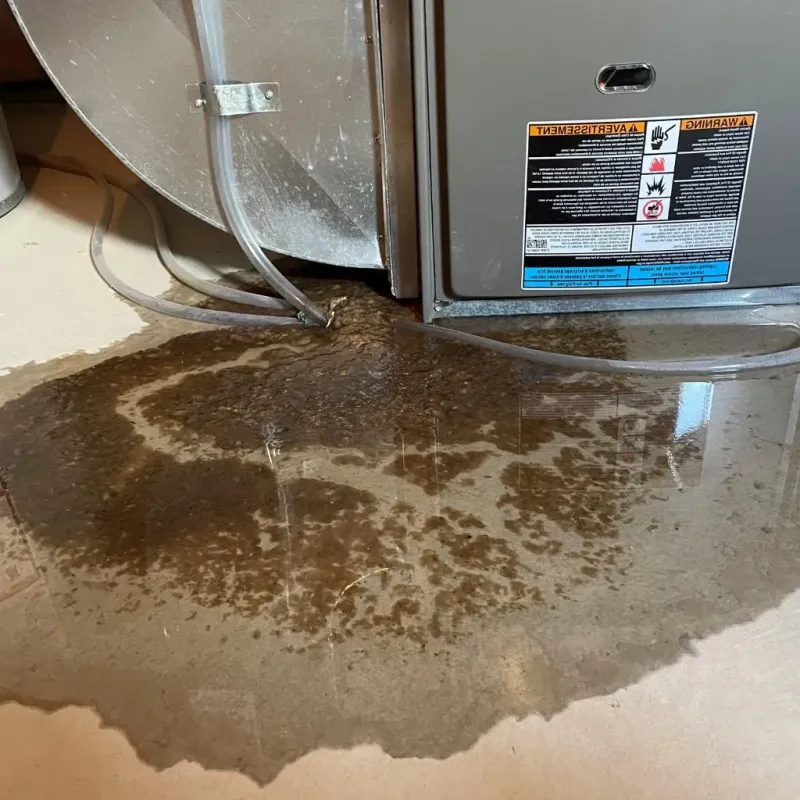 Pipe Burst and Leak Restoration in Hallstead, PA